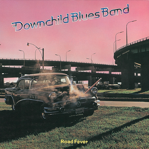 两峰夹小溪地湿又无泥的用法
